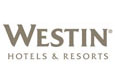 Placement Partner SCHMTT
