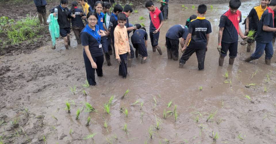 Field Trip on Traditional Paddy Plantation